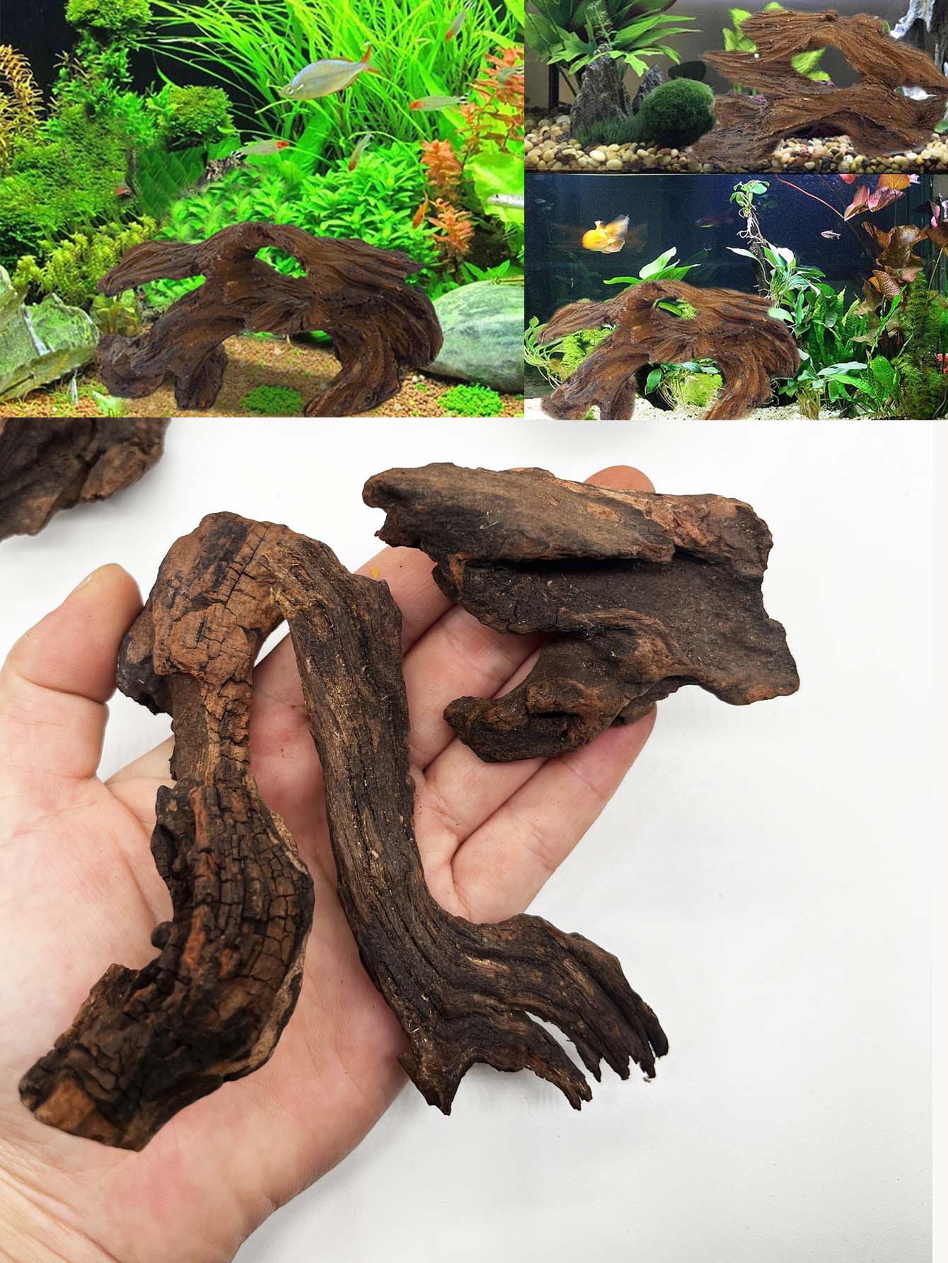 Aquarium Planted Wood - 3 unidades ﻿ Conjunto de madeira