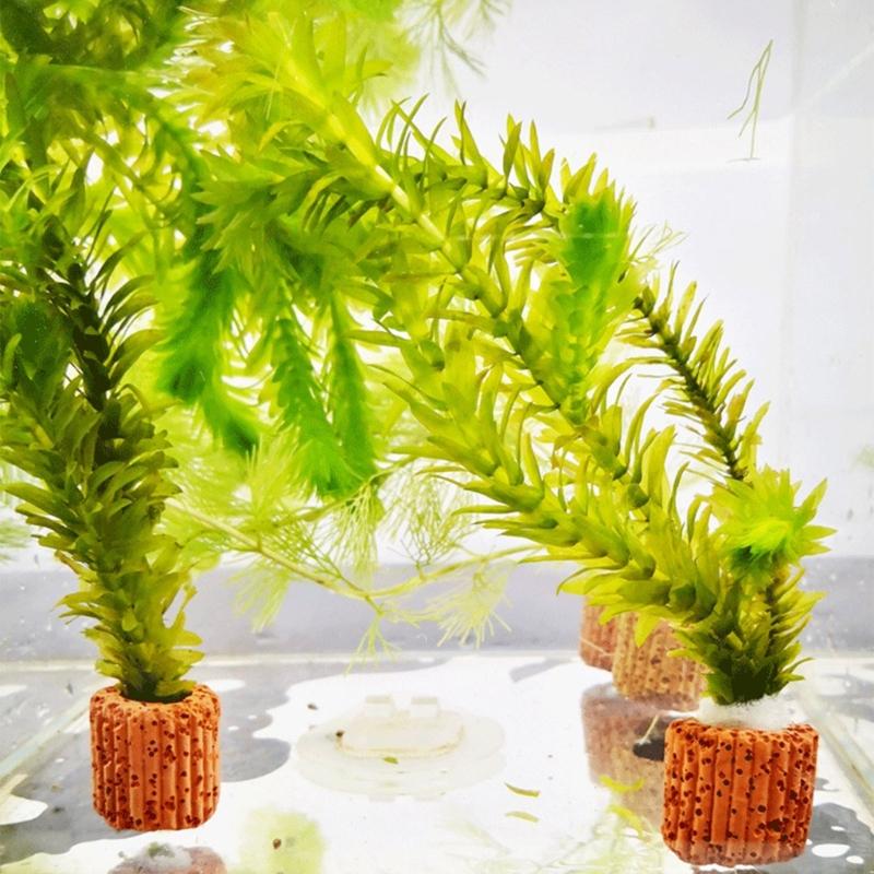 Emersed Plants Aquarium - Âncoras suporte plantas para aquários QX2E