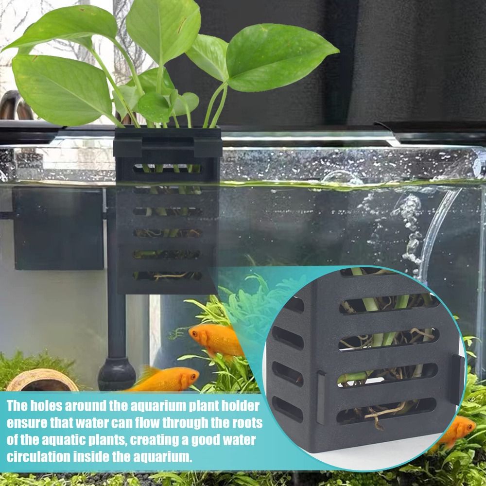 Emersed Plants Aquarium - Suporte para Plantas Aquáticas de Paisagismo,