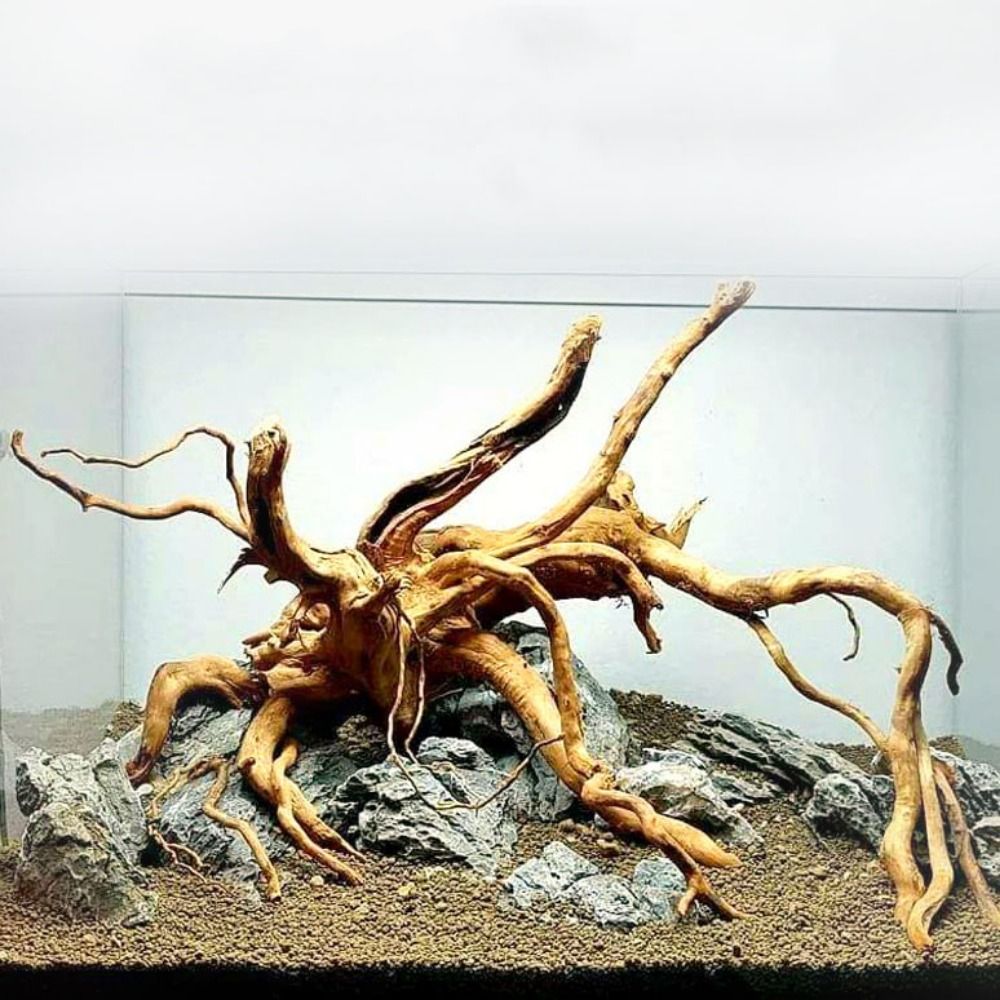 Aquarium Planted Wood - Tronco de Madeira Natural Grande para