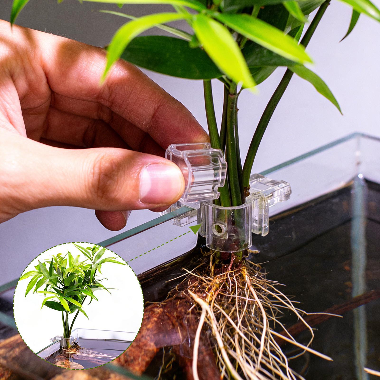 Aquarium Plant Growing - Suportes Transparentes para Plantas de Aquário
