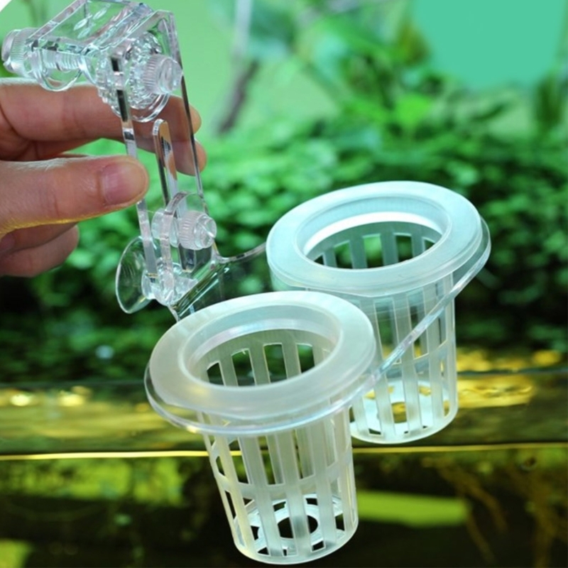 Emersed Plants Aquarium - Aquários planta suporte cultivo de plantas