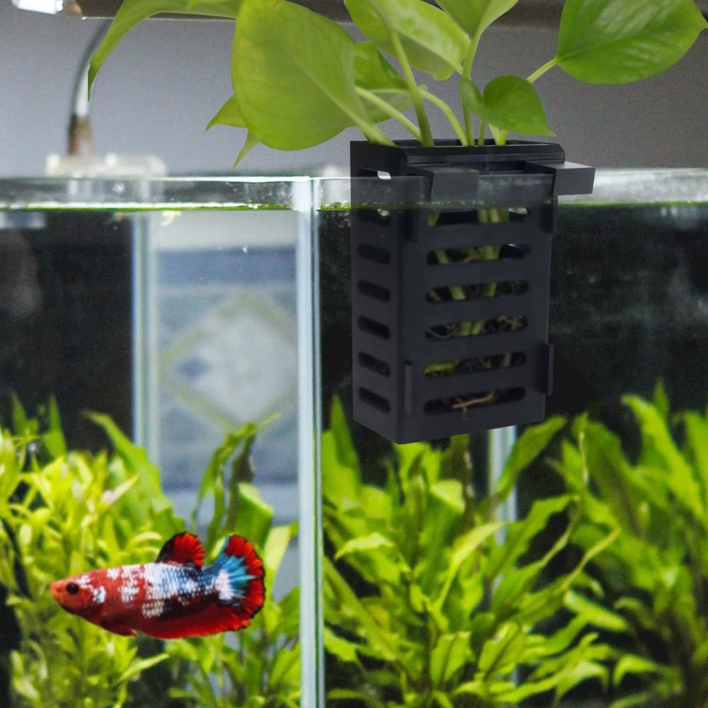 Suporte para Plantas Aquáticas - Emersed Plants Aquarium avaliação e preço