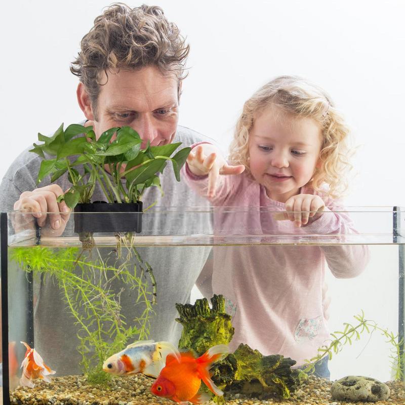 Suporte de planta de aquário s - Emersed Plants Aquarium avaliação e preço