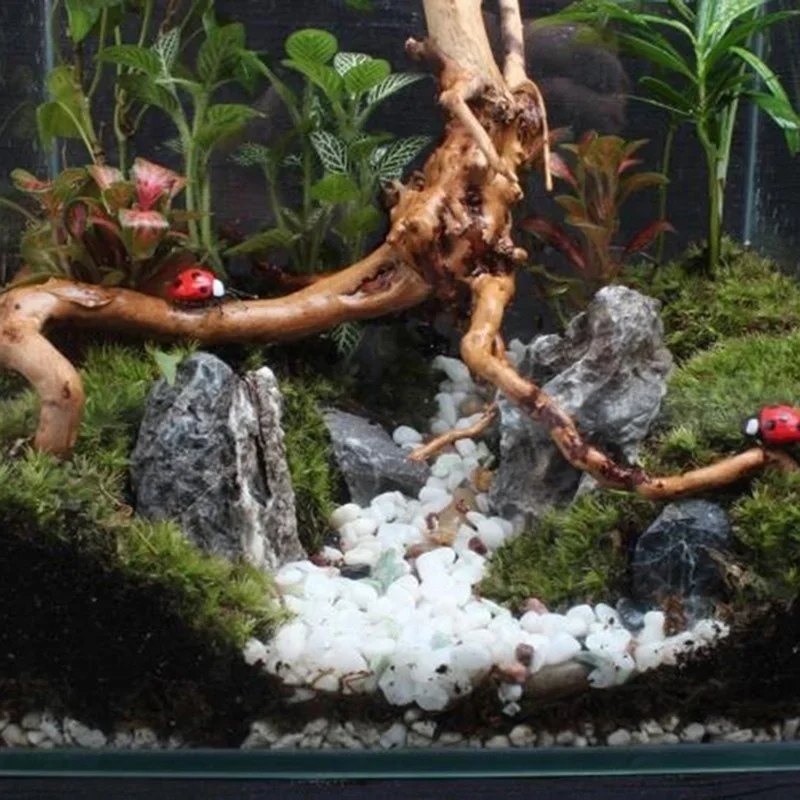 Natural Tree Tronco Driftwood  - Aquarium Planted Wood avaliação e preço
