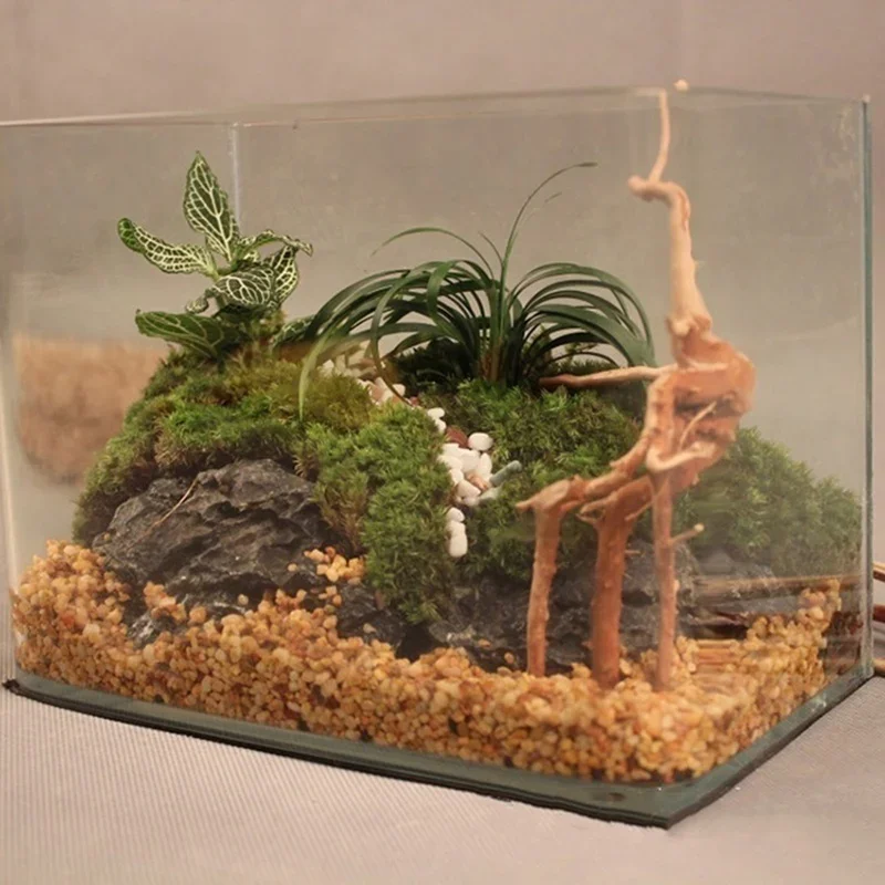 Natural Tree Tronco Driftwood  - Aquarium Planted Wood avaliação e preço