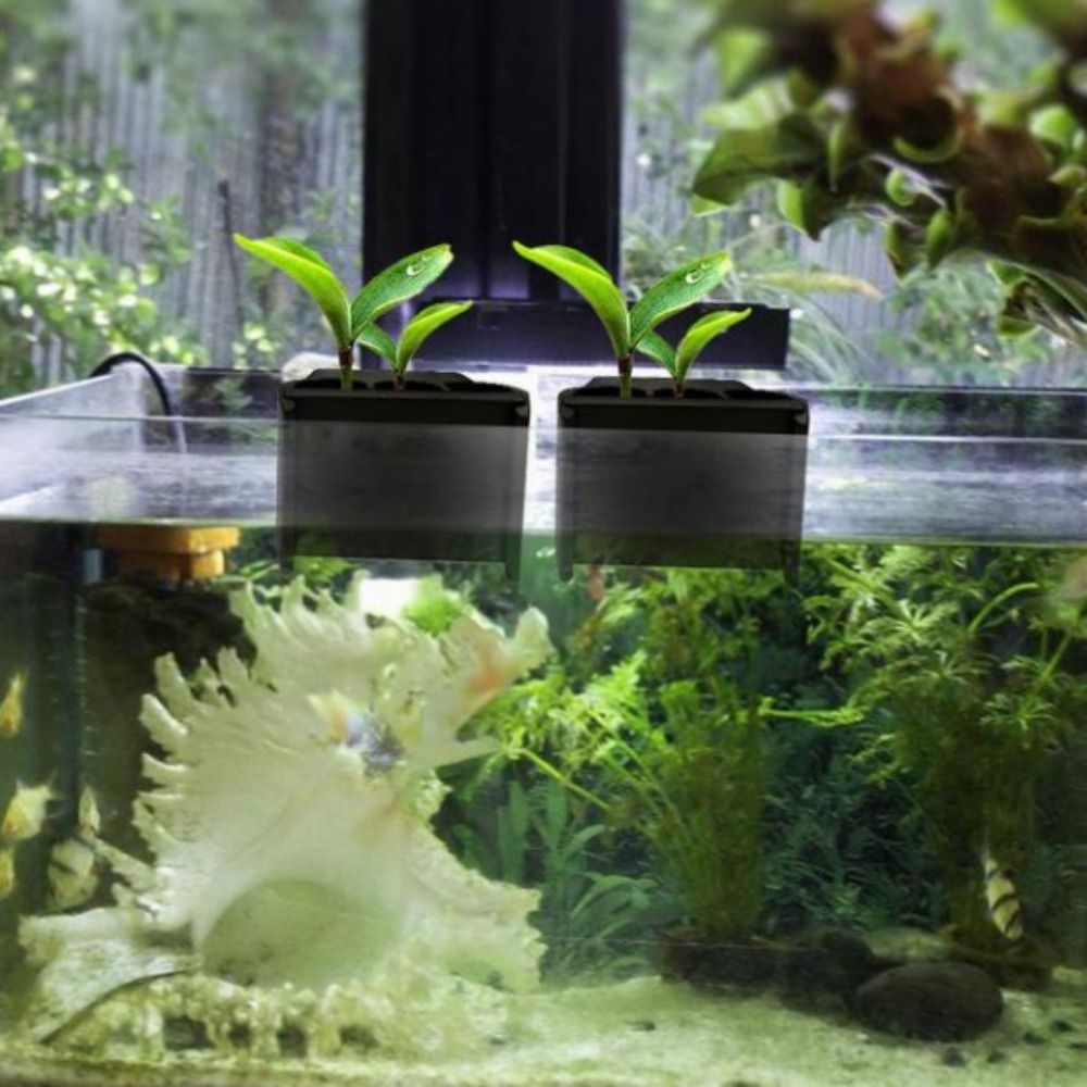 Vaso de Plástico Preto para Aq - Emersed Plants Aquarium avaliação e preço