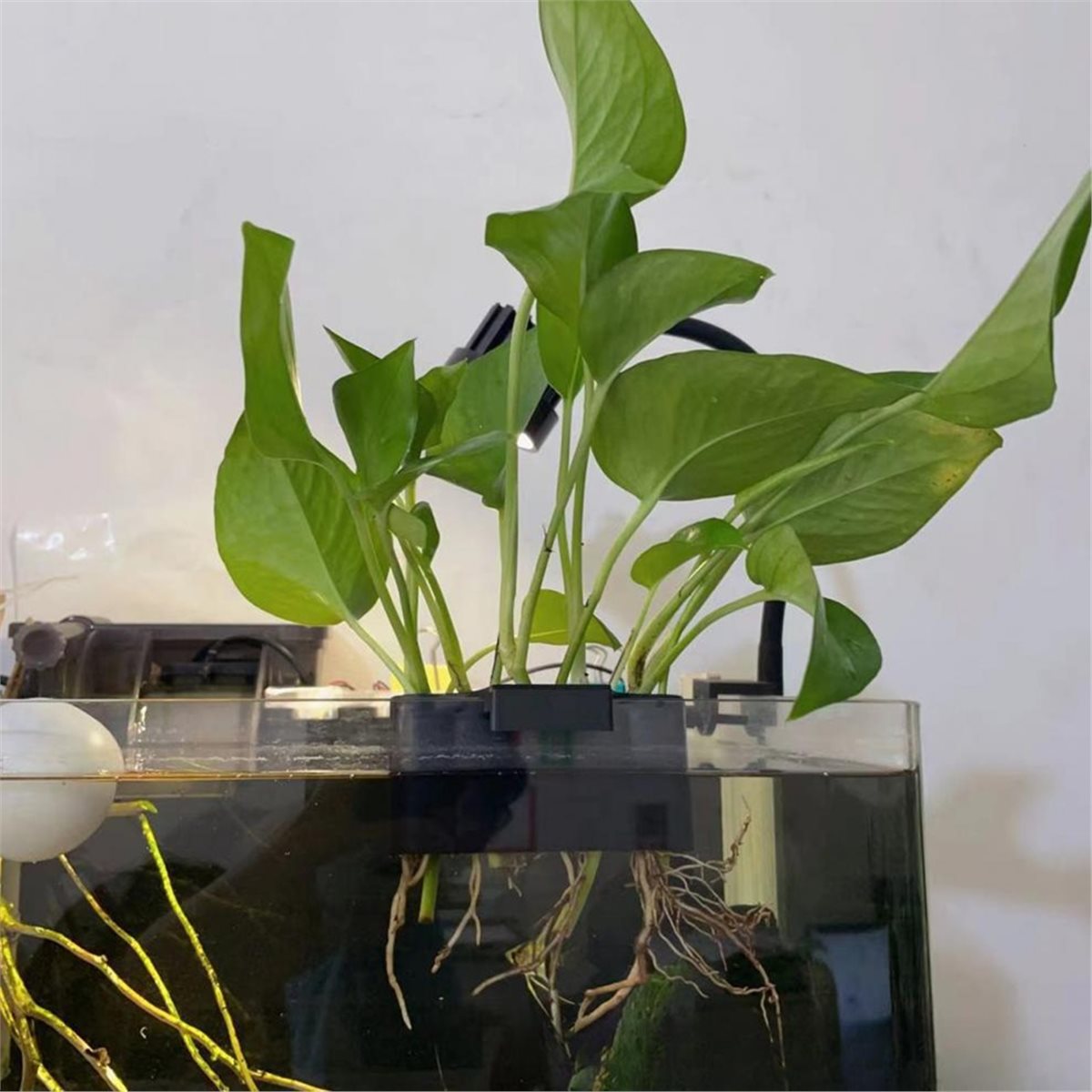 (ABAB) Suporte para Plantas de - Emersed Plants Aquarium avaliação e preço