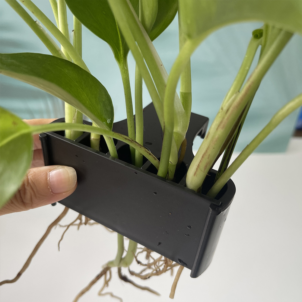 Suporte de planta de aquário s - Emersed Plants Aquarium avaliação e preço