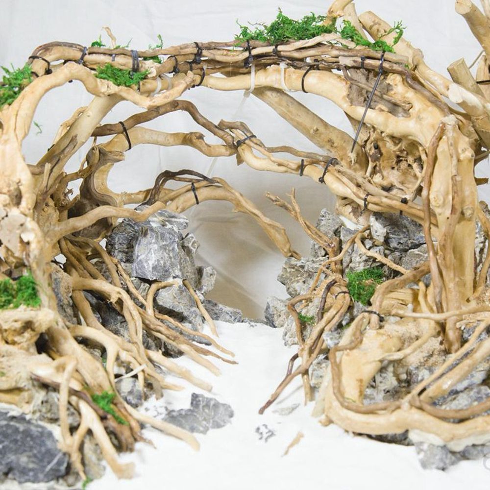 Madeira n1n paisagismo decoraç - Aquarium Planted Wood avaliação e preço