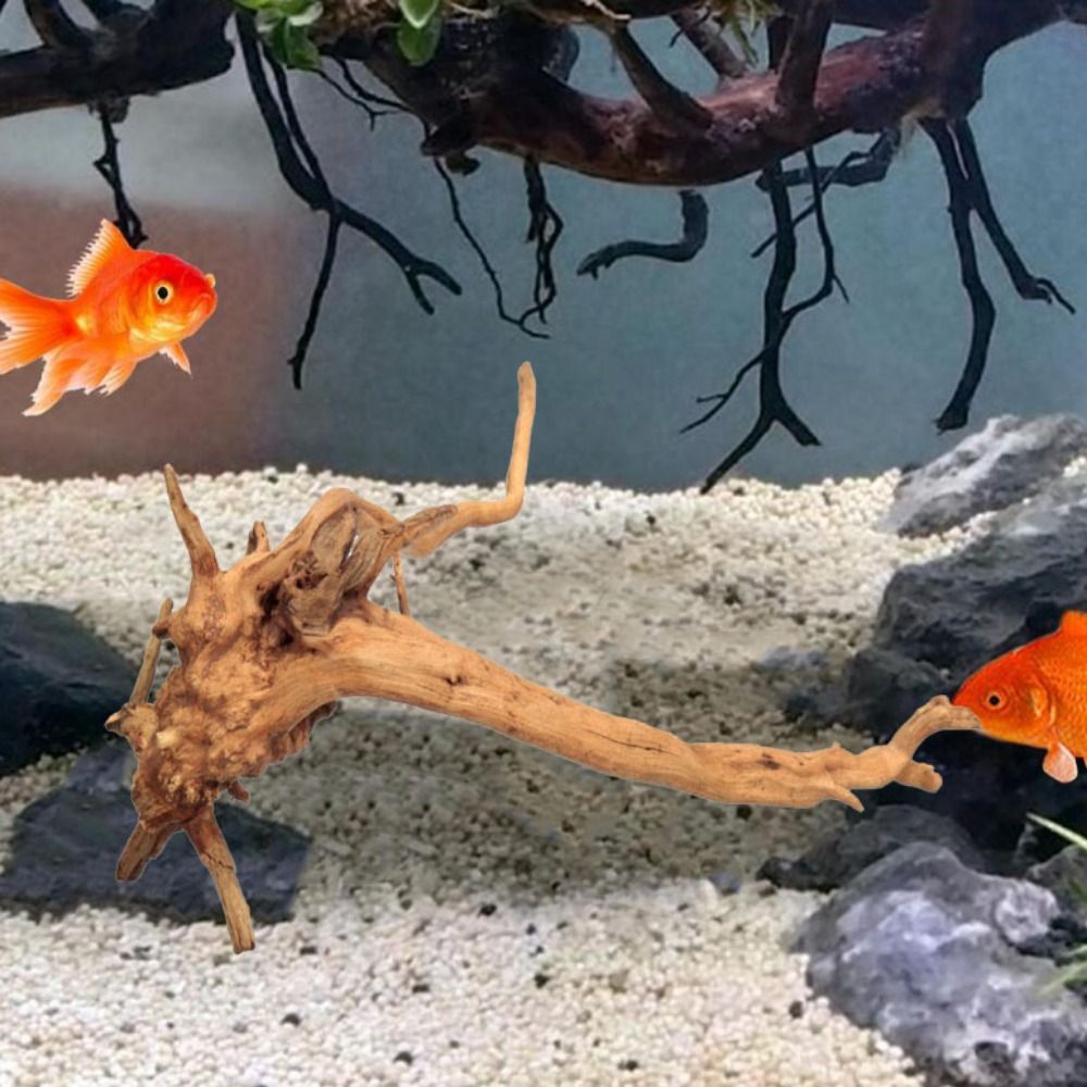 Natural Árvore Tronco Decoraçã - Aquarium Planted Wood avaliação e preço