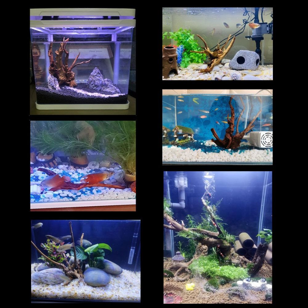Natural Árvore Tronco Decoraçã - Aquarium Planted Wood avaliação e preço