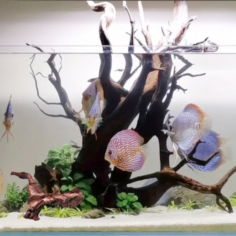 Tronco de Madeira Natural de C - Aquarium Planted Wood avaliação e preço