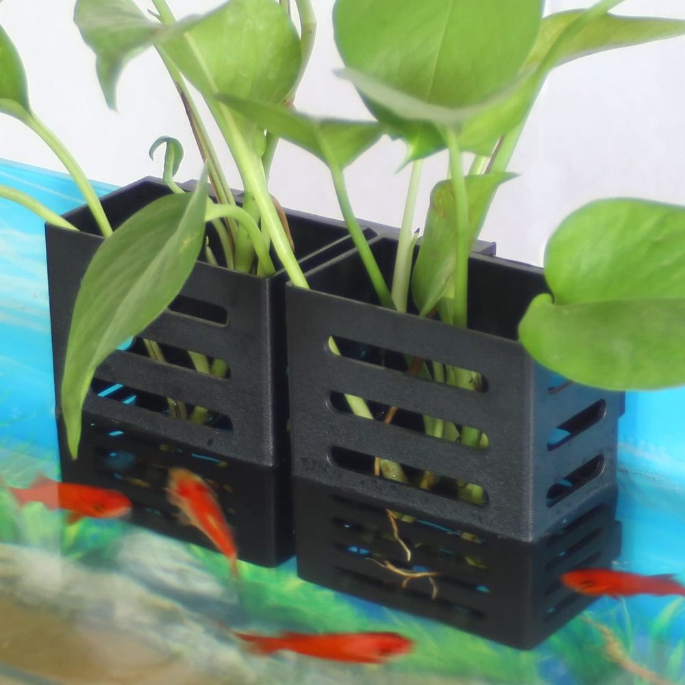 Suporte para Plantas Aquáticas - Emersed Plants Aquarium avaliação e preço