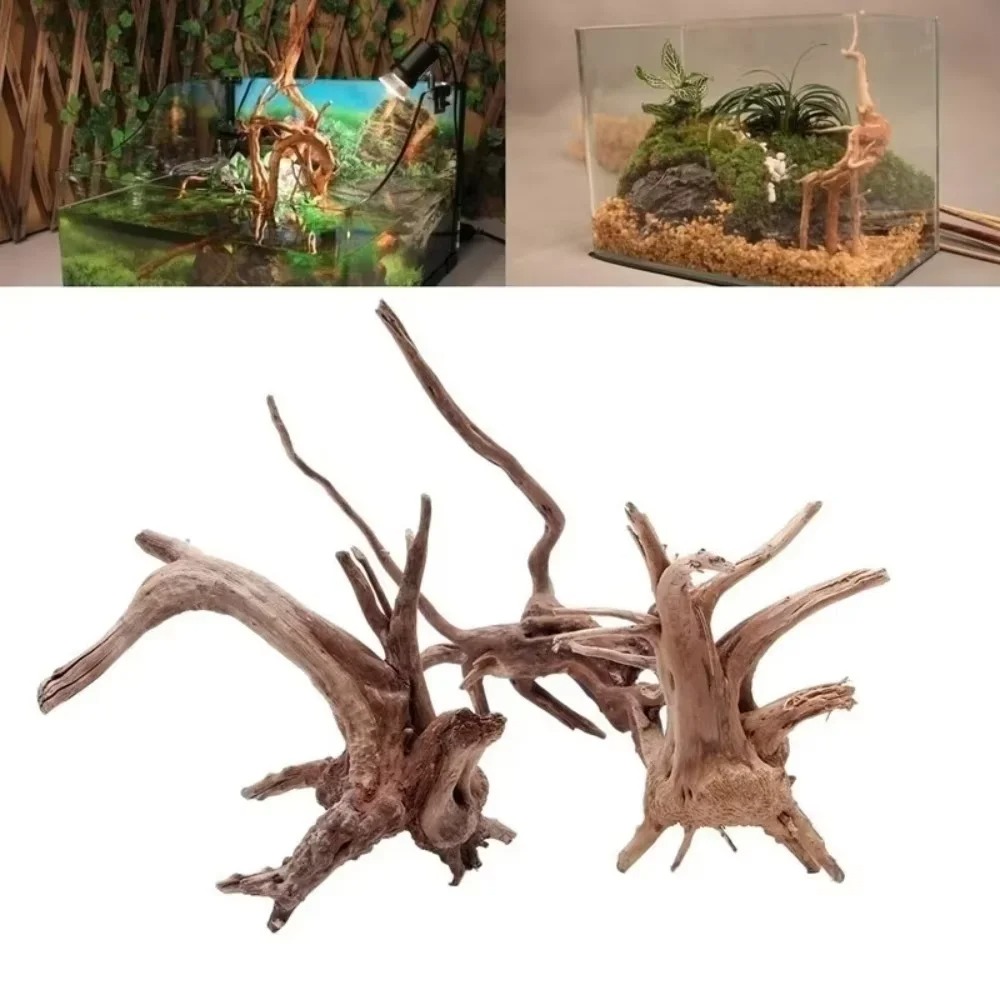 (15-20cm) Decoração de Aquário - Aquarium Planted Wood avaliação e preço