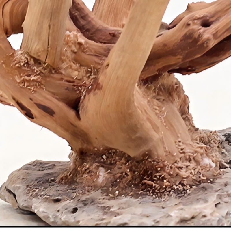 1pc aquário paisagismo ornamen - Aquarium Planted Wood avaliação e preço