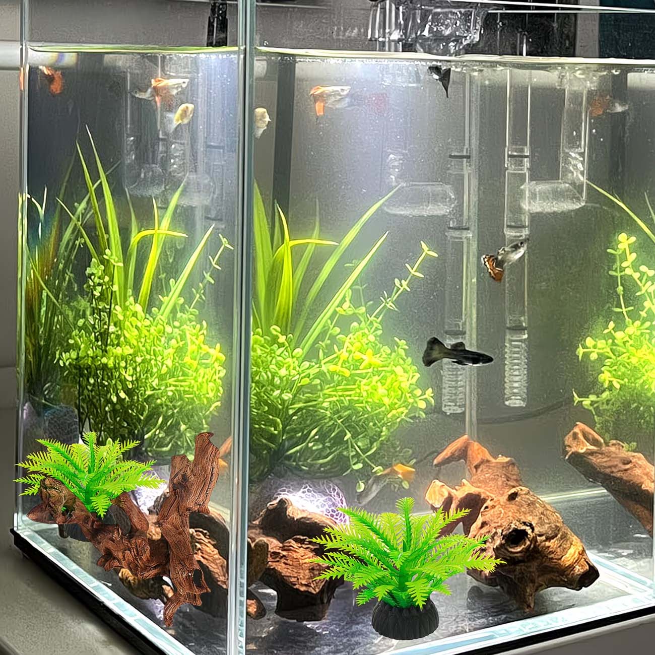 Madeira Natural Submersível de - Aquarium Planted Wood avaliação e preço