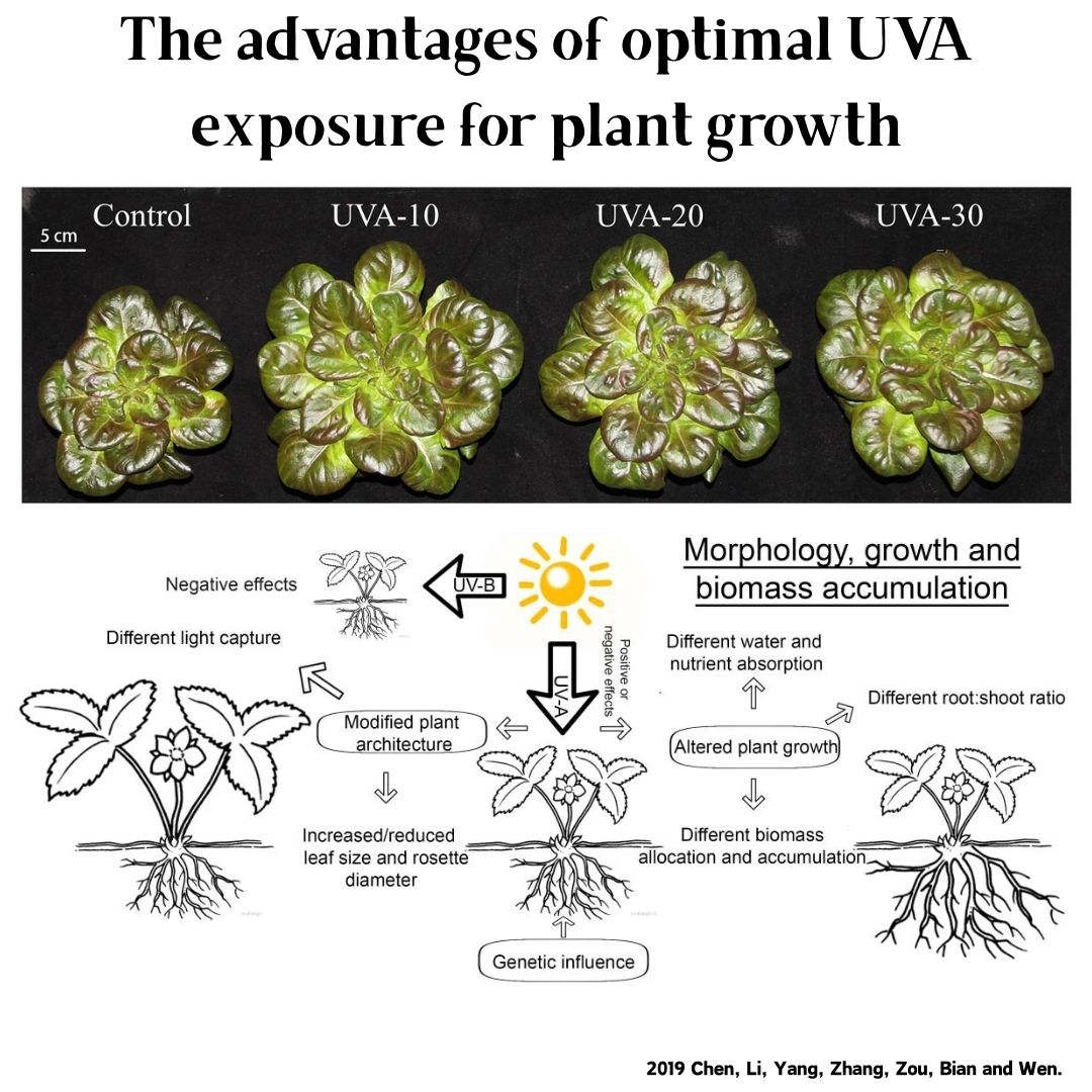 Lâmpada LED Inteligente para A - Aquarium Plant Growing avaliação e preço