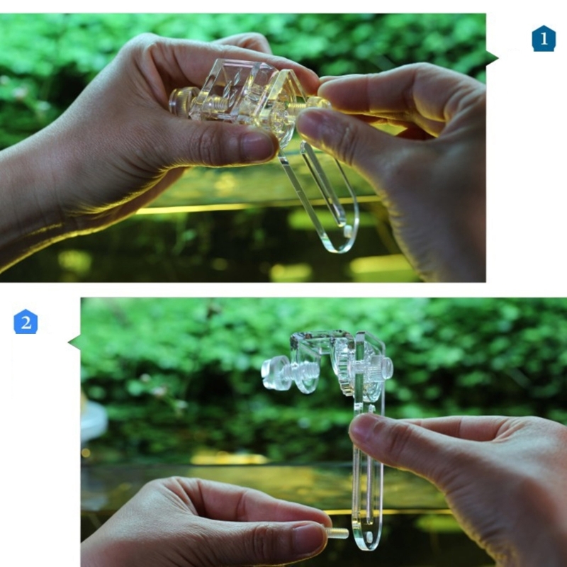Aquários planta suporte cultiv - Emersed Plants Aquarium avaliação e preço