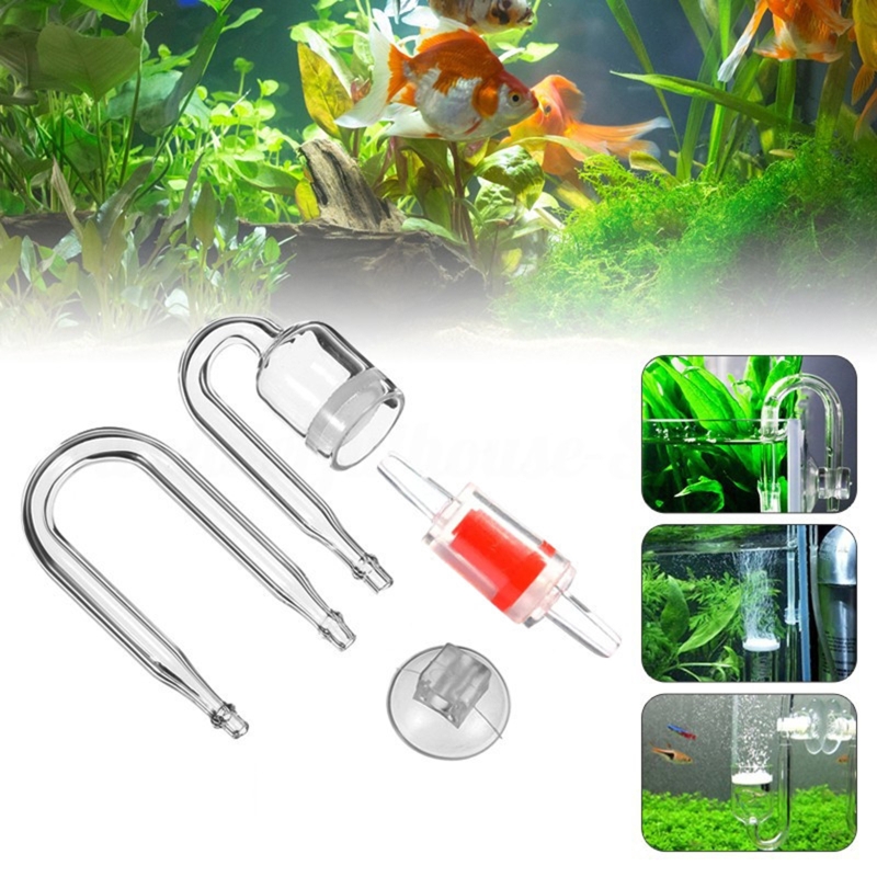CO2 Difusor para Aquário, DIY  - Aquarium Plant Growing avaliação e preço