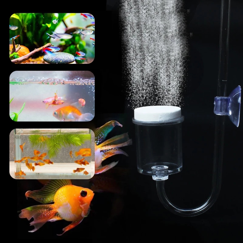 CO2 Difusor para Aquário, DIY  - Aquarium Plant Growing avaliação e preço
