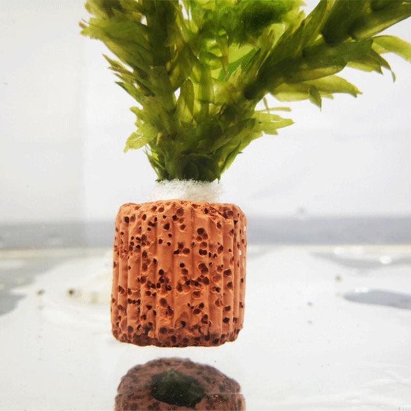 Suporte plantas aquário f19b,  - Emersed Plants Aquarium avaliação e preço
