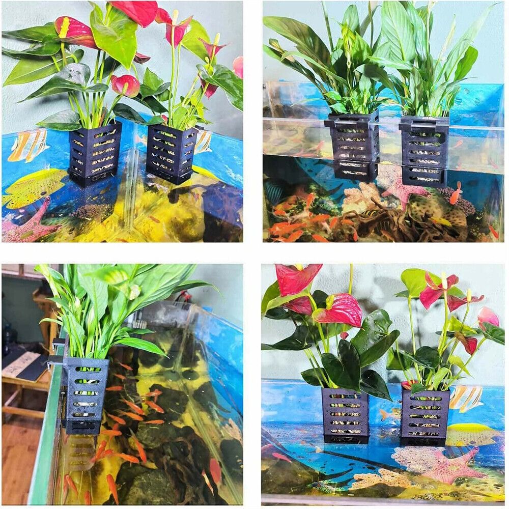 Suporte para Plantas Aquáticas - Emersed Plants Aquarium avaliação e preço